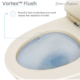 Swiss Madison Ivy One-Piece Elongated Toilet Vortex™ Dual-Flush 1.1/1.6 gpf - SM-1T112 - Image 26