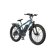 Aostirmotor Fat Tire Electric Mountain Bike S07-F