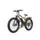 Aostirmotor Fat Tire Electric Mountain Bike S07-E