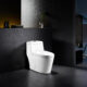 Altair Savona Dual Flush Elongated One-Piece Toilet (Seat Included) T280