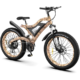 Aostirmotor Snakeskin Grain Powerful Electric Bike S18-1500W - Image 4