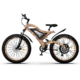 Aostirmotor Snakeskin Grain Powerful Electric Bike S18-1500W - Image 2