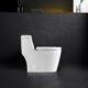 Altair Savona Dual Flush Elongated One-Piece Toilet (Seat Included) T280 - Image 3