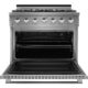 NXR 36" Stainless Steel Pro-Style Natural Gas Range with 5.5 cu.ft. Convection Oven SC3611 - Image 4