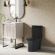 Swiss Madison Calice Two-Piece Elongated Rear Outlet Toilet Dual-Flush 0.8/1.28 gpf - SM-2T120 - Image 18