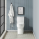 Swiss Madison Classé One-Piece Elongated Toilet Dual-Flush 1.1/1.6 gpf - SM-1T117 - Image 6