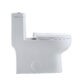Altair Venezia Dual Flush Elongated One-Piece Toilet (Seat Included) T276 - Image 7