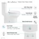 Swiss Madison Plaisir One-Piece Elongated Toilet Dual-Flush 1.1/1.6 gpf - SM-1T119 - Image 7