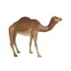 Design Toscano Grand-Scale Desert Camel Statue NE120052 - Image 2