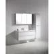 Bathroom Vanity