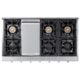 Thor Kitchen 48" Professional Gas Range top in Stainless Steel HRT4806U
