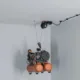 Basic Lifter - 100 lbs By SmarterHome - Image 2