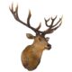 design-toscano-big-antler-buck-trophy-deer-head-wall-sculpture-ne170216