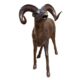 Design Toscano Big Horn Sheep Cast Bronze Garden Statue AS25194 - Image 2