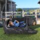 Design Toscano Brawny Black Bear Bench Sculpture NE160017