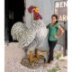 Design Toscano Cock-a-doodle-do, Giant Roadside Rooster Garden Statue NE110114