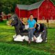 Design Toscano Cowch Holstein Cow Photo Op Sculptural Bench NE120020