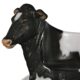 Design Toscano Cowch Holstein Cow Photo Op Sculptural Bench NE120020 - Image 5