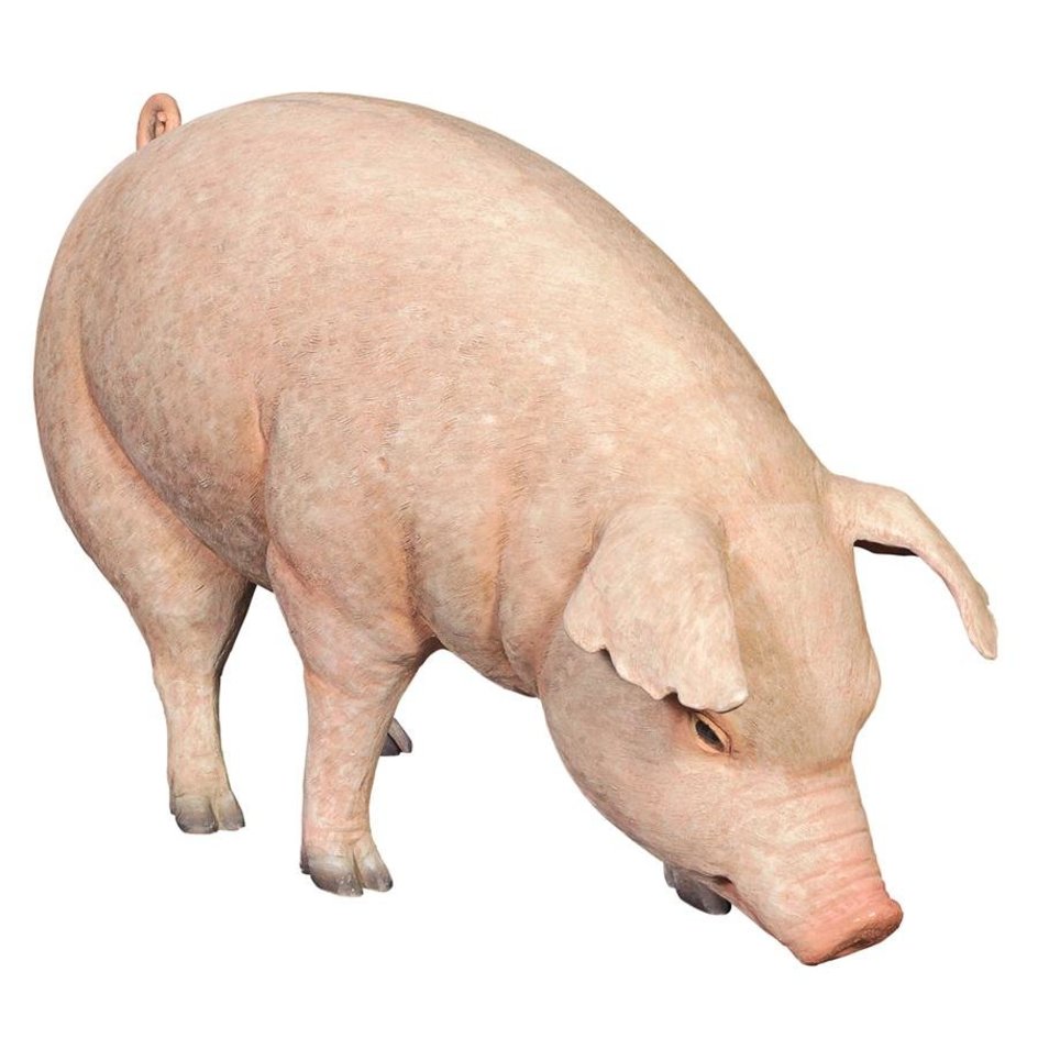 images design-toscano-divine-swine-life-size-farm-pig-statue-ne120073