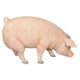 design-toscano-divine-swine-life-size-farm-pig-statue-ne120073