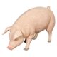 design-toscano-divine-swine-life-size-farm-pig-statue-ne120073