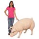 design-toscano-divine-swine-life-size-farm-pig-statue-ne120073