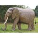 Design Toscano Enormous African Elephant Statue NE100059