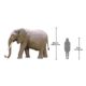 Design Toscano Enormous African Elephant Statue NE100059 - Image 3