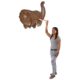 design-toscano-exotic-african-elephant-trophy-head-wall-mount-sculture-ne170186