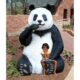 Design Toscano Fantong Oversized Giant Panda Bear Statue with Photo Op Paw Seat NE160039