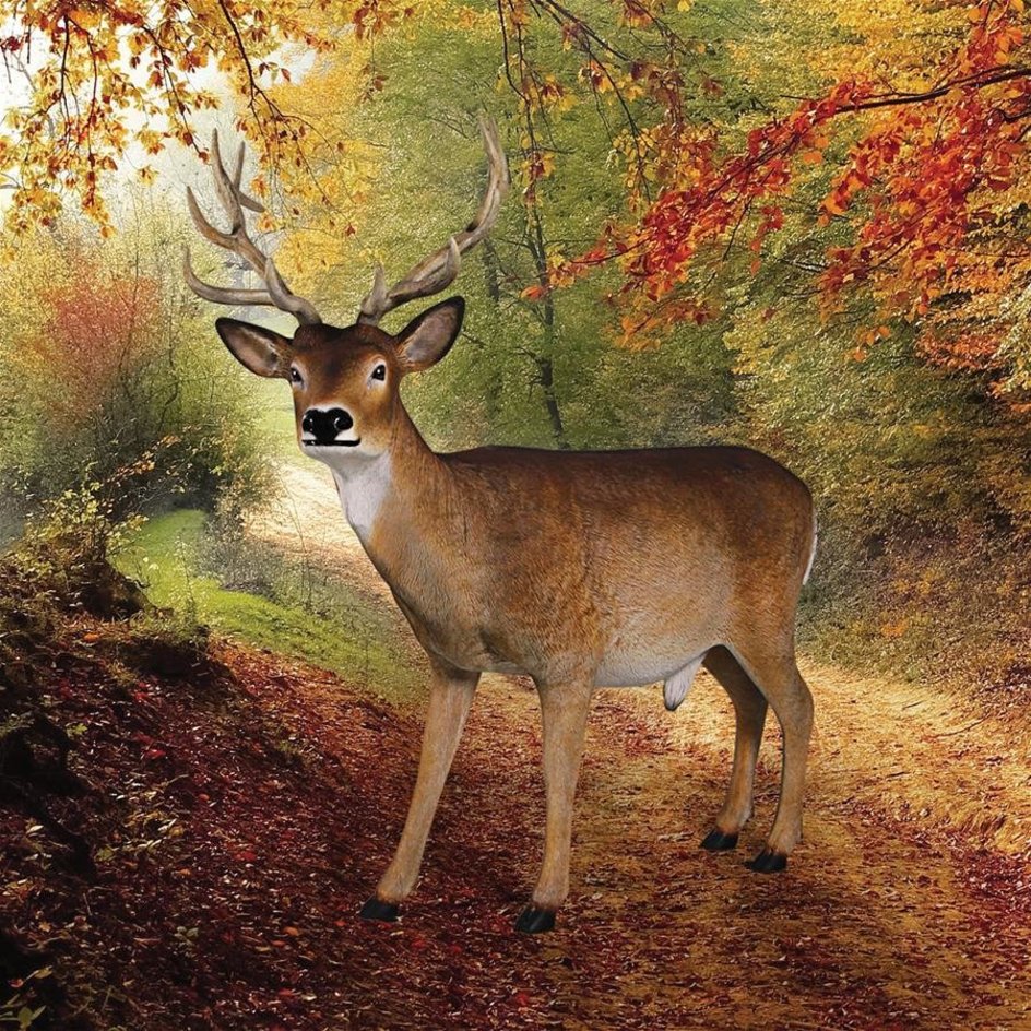 images design-toscano-forest-white-tailed-buck-male-deer-statue-ne190016