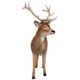 design-toscano-forest-white-tailed-buck-male-deer-statue-ne190016
