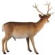 design-toscano-forest-white-tailed-buck-male-deer-statue-ne190016