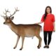 design-toscano-forest-white-tailed-buck-male-deer-statue-ne190016