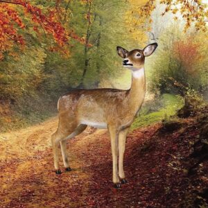 design-toscano-forest-white-tailed-doe-female-deer-statue-ne90015