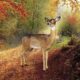 design-toscano-forest-white-tailed-doe-female-deer-statue-ne90015