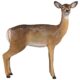 design-toscano-forest-white-tailed-doe-female-deer-statue-ne90015