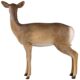 design-toscano-forest-white-tailed-doe-female-deer-statue-ne90015