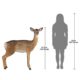 design-toscano-forest-white-tailed-doe-female-deer-statue-ne90015