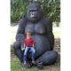 Design Toscano Giant Male Silverback Gorilla Photo Op Statue NE110088 - Image 4