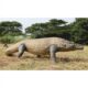 Design Toscano Giant Megalania Monitor Lizard Statue NE130056 - Image 3