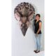 design-toscano-giant-triceratops-dinosaur-wall-trophy-ne110016