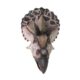 design-toscano-giant-triceratops-dinosaur-wall-trophy-ne110016