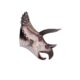 design-toscano-giant-triceratops-dinosaur-wall-trophy-ne110016