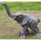 design-toscano-good-luck-trunk-up-baby-elephant-statue-ne90026