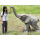 design-toscano-good-luck-trunk-up-baby-elephant-statue-ne90026