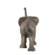 design-toscano-good-luck-trunk-up-baby-elephant-statue-ne90026