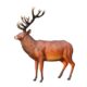 design-toscano-grande-scale-red-deer-buck-statue-ne140044