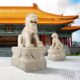 Design Toscano Grand Palace Chinese Lion Foo Dog Statue: Female with Pedestal Base NE9190162