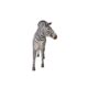 design-toscano-grand-scale-african-zebra-statue-ne110075